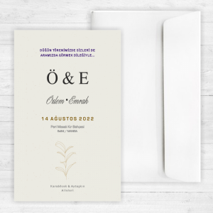 Sade Düğün Davetiyesi 20245