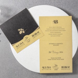 Siyah Altın Renk Kombinli Geçmeli Katlamalı Davetiye