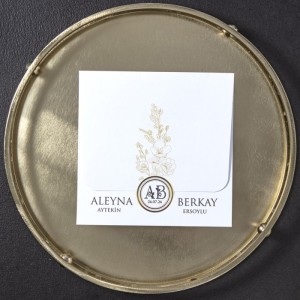 Zarfsız Üstten Katlamalı Geçmeli Beyaz Rengi Davetiye