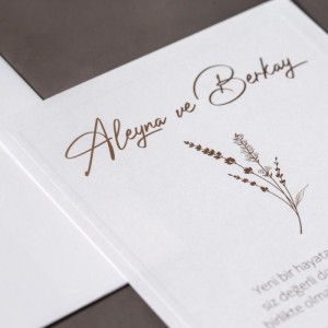 Dikdörtgen Üçgen Kapak Zarflı Yaldız Süslemeli Davetiye Modeli